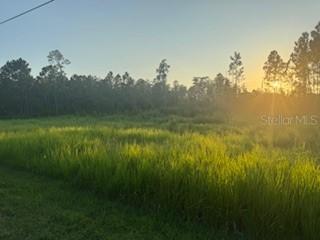 8225 Woodleaf Blvd., Wesley Chapel, FL 33544