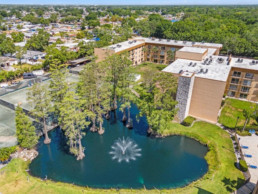 5820 N Church Ave. #326, Tampa, FL 33614