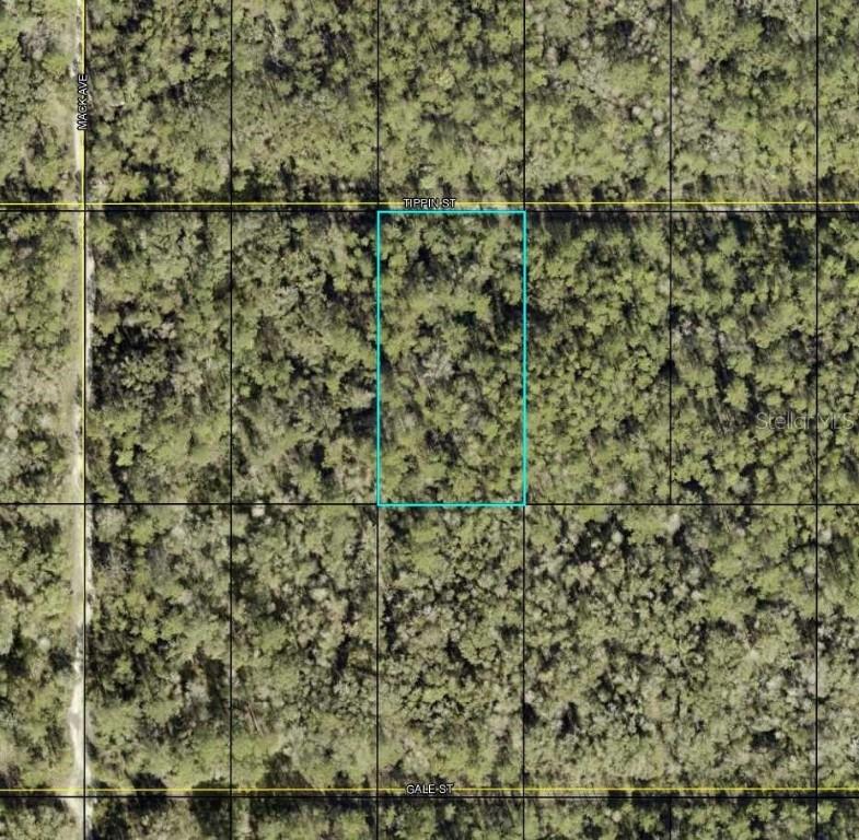 TBD Tippin St., Hastings, FL 32145