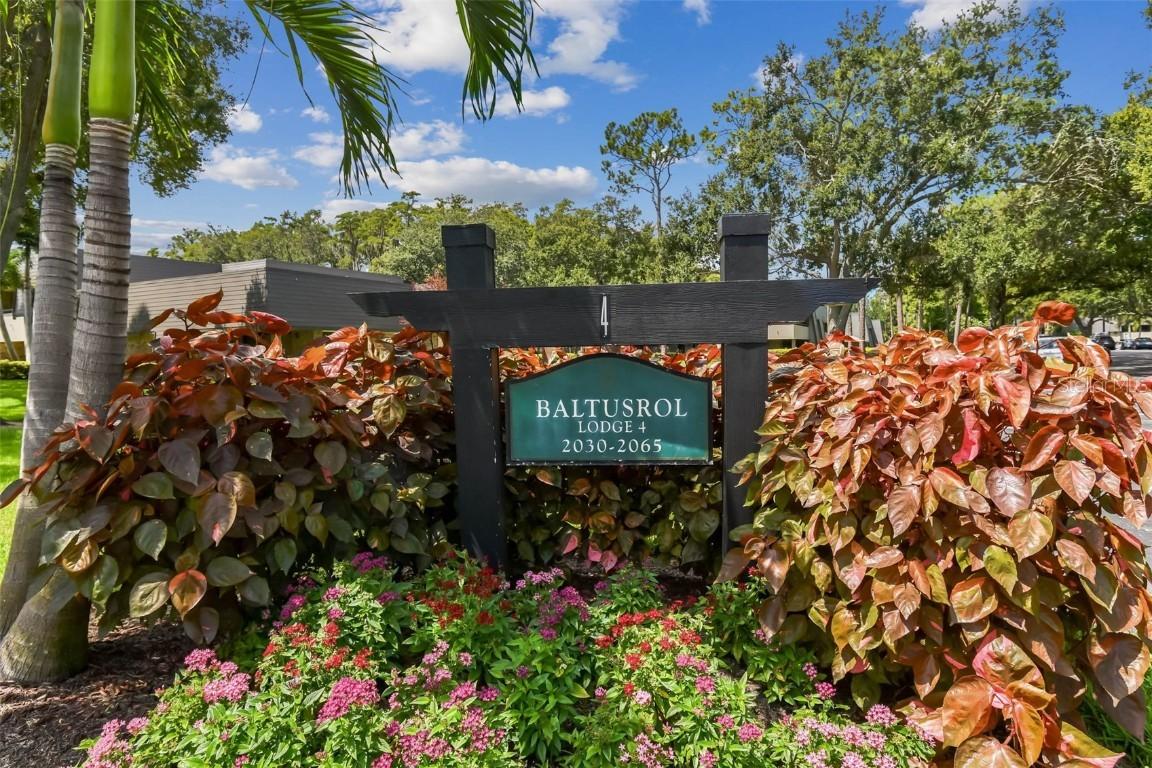 36750 Us Highway 19 #0602, Palm Harbor, FL 34684