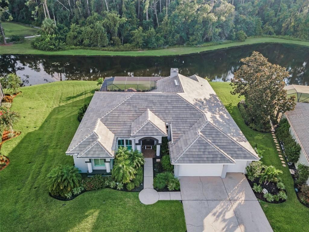 4626 Ayron Ter., Palm Harbor, FL 34685