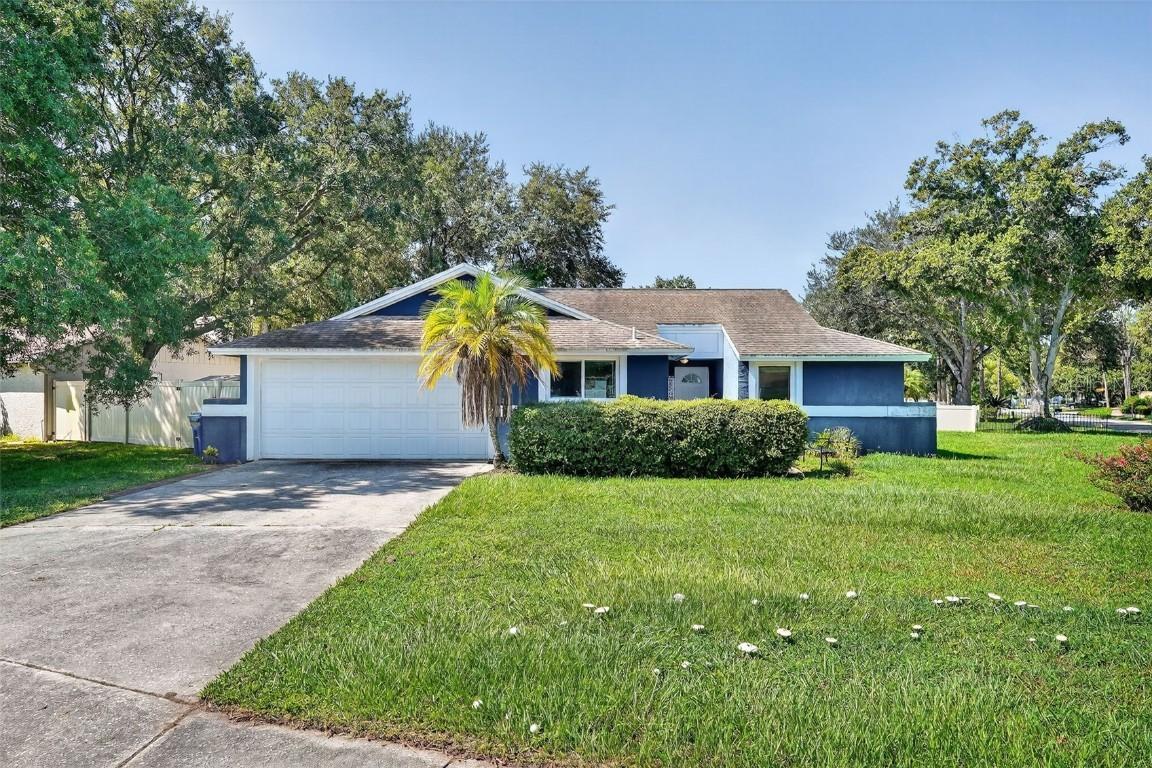 5388 Black Pine Dr., Tampa, FL 33624