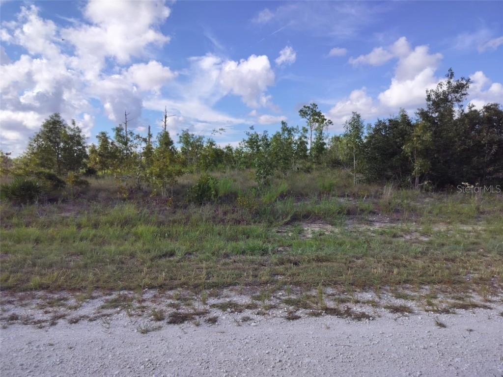 Scissorbill Ave., Brooksville, FL 34614