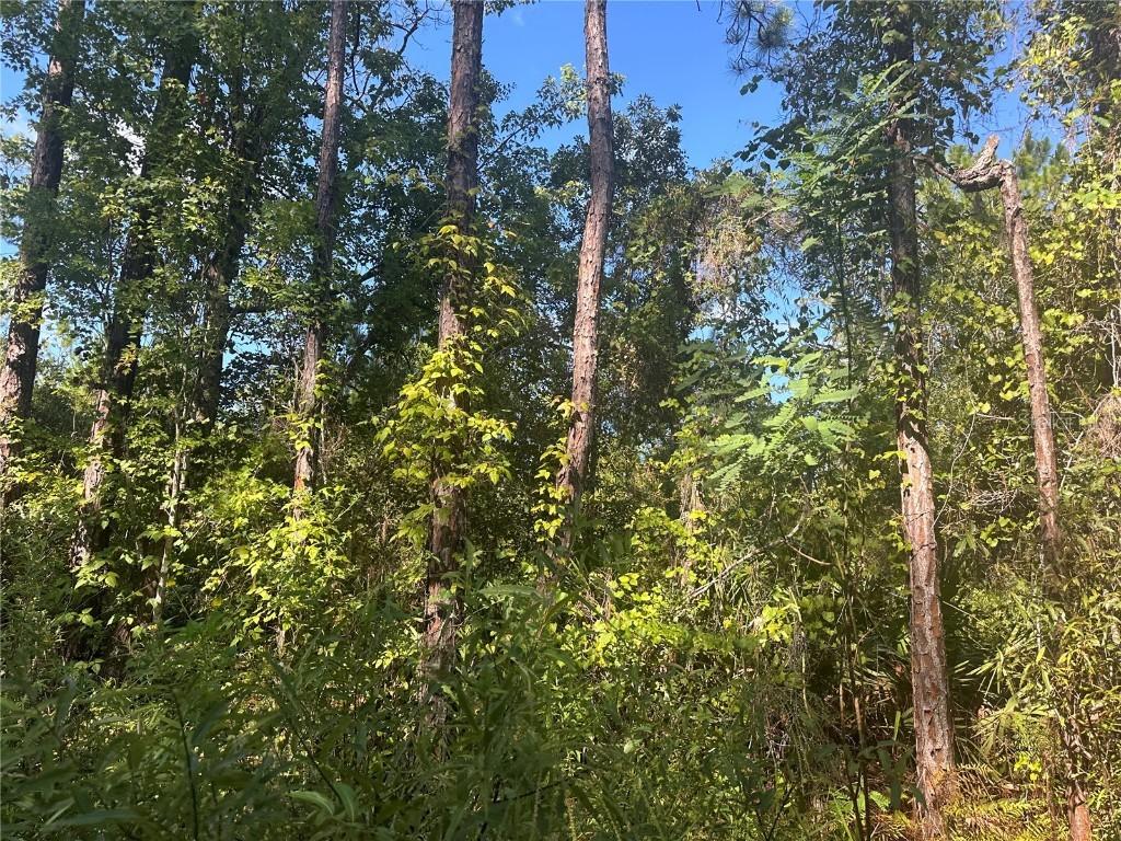 TBD NE 137 Ct., Fort Mc Coy, FL 32134