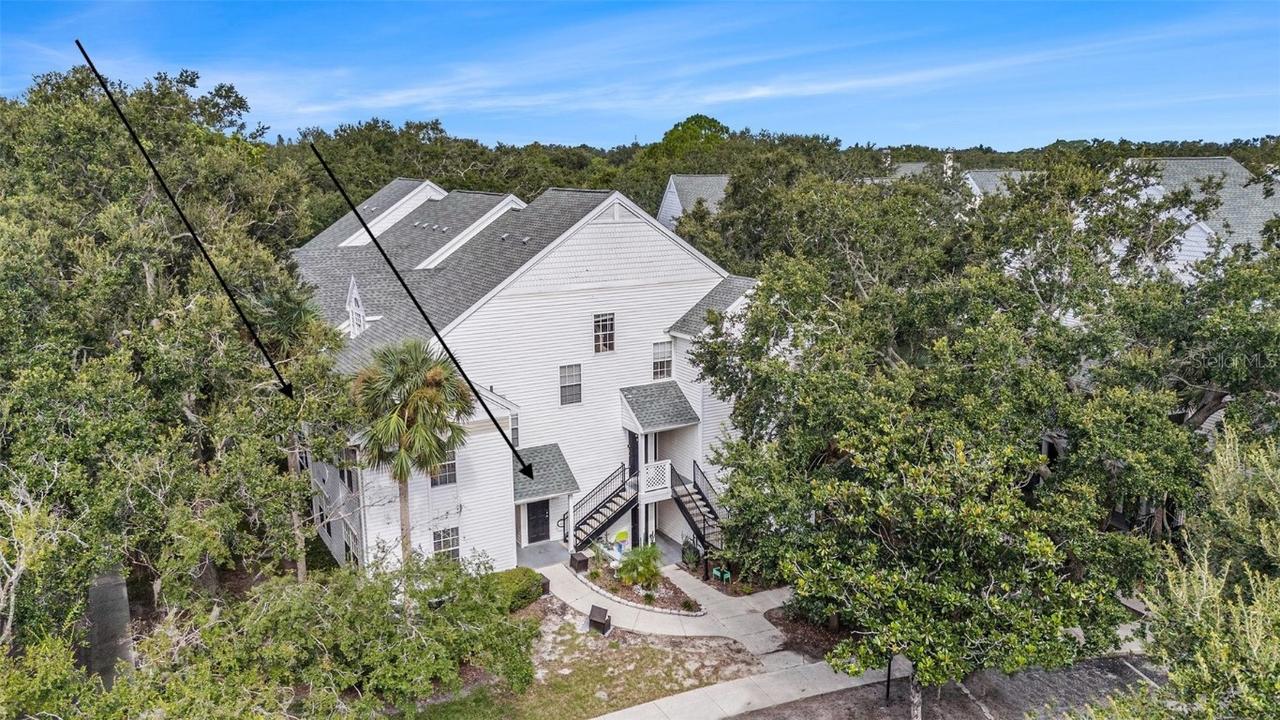 3274 Haviland Ct. #204, Palm Harbor, FL 34684