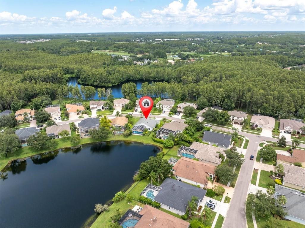 18808 Chaville Rd., Lutz, FL 33558