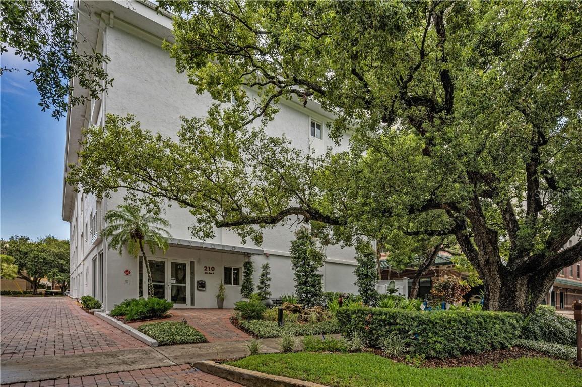 210 5th Ave. #203, St Petersburg, FL 33701