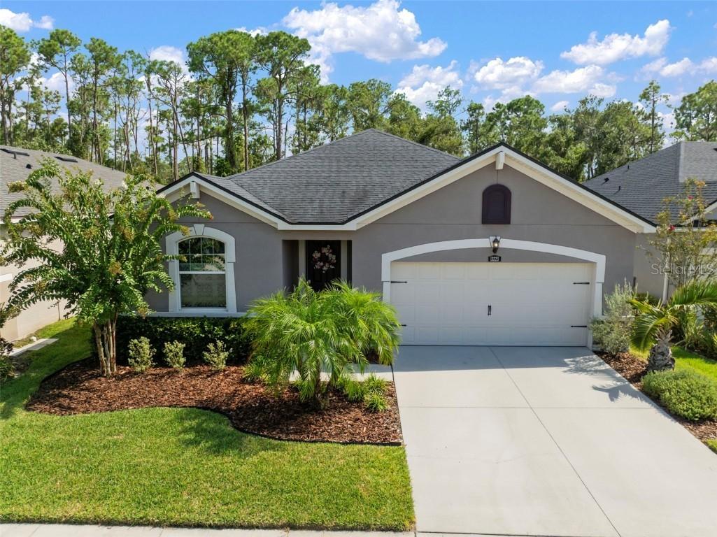 13223 Baby Belle Dr., Riverview, FL 33579