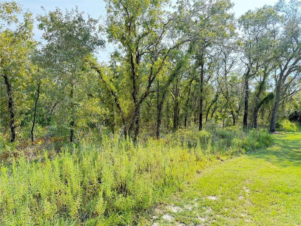 11096 Marsh Wren Ave., Weeki Wachee, FL 34614