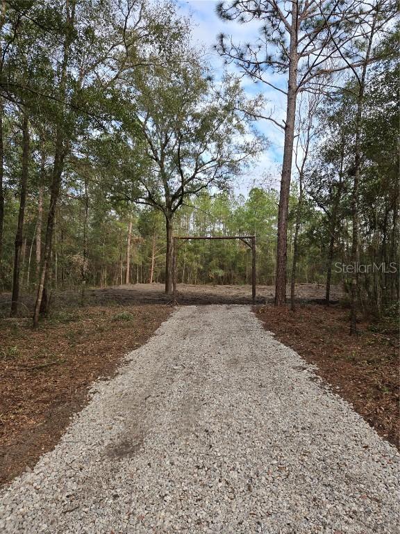 NE 127th Ct., Williston, FL 32696