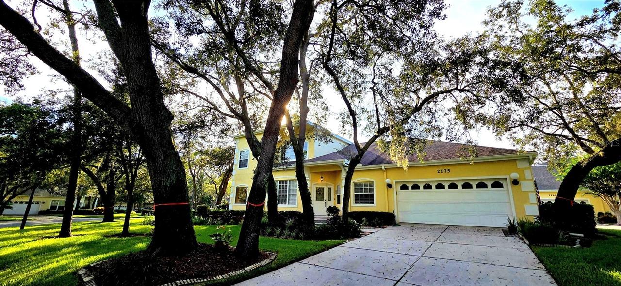 2175 Oak Forest Ln., Palm Harbor, FL 34683