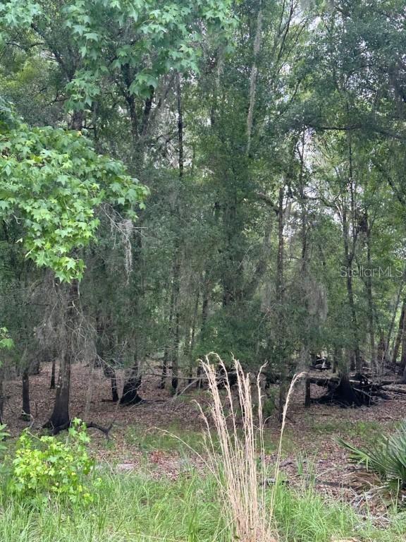 Palamino Lake Dr., Dade City, FL 33523