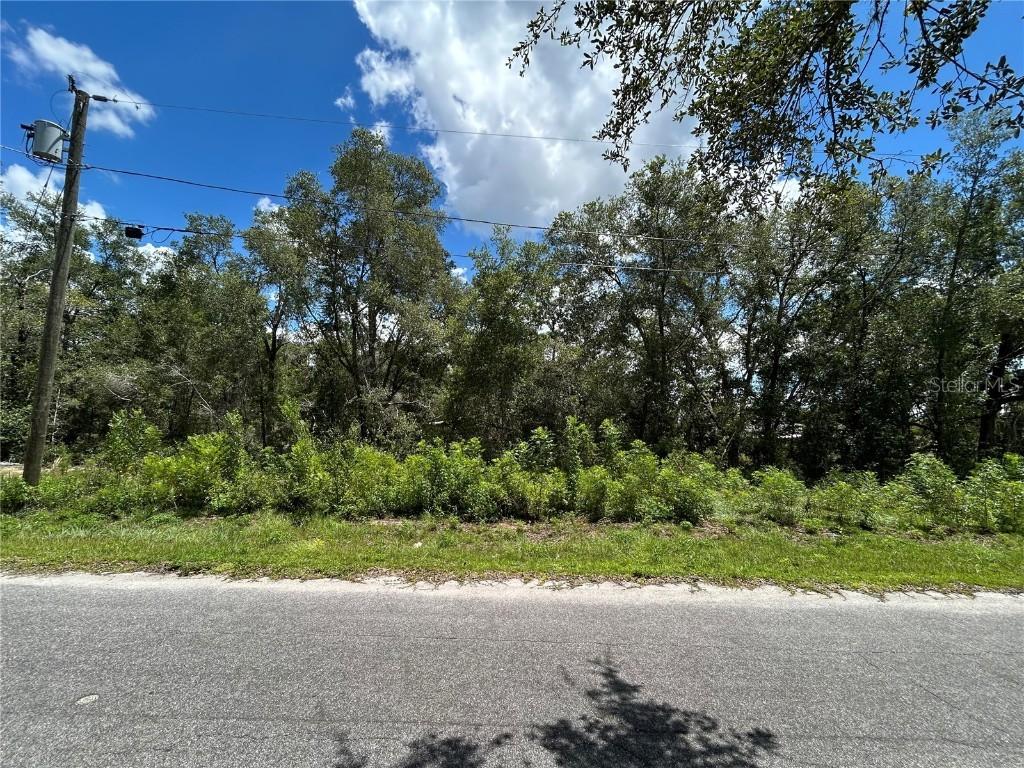 Malauka Radial Ln., Ocklawaha, FL 32179