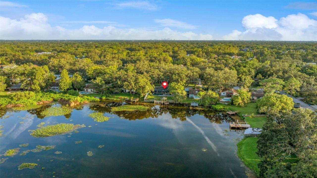 1005 Samy Dr., Tampa, FL 33613