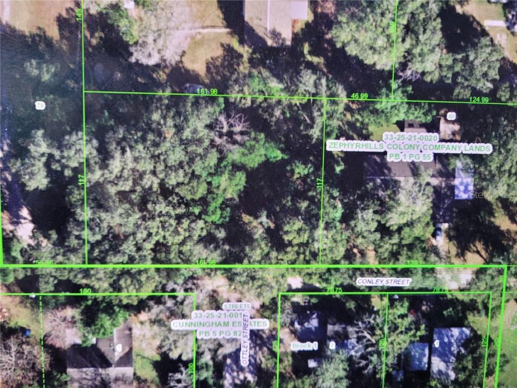 36795 Conley St., Zephyrhills, FL 33541