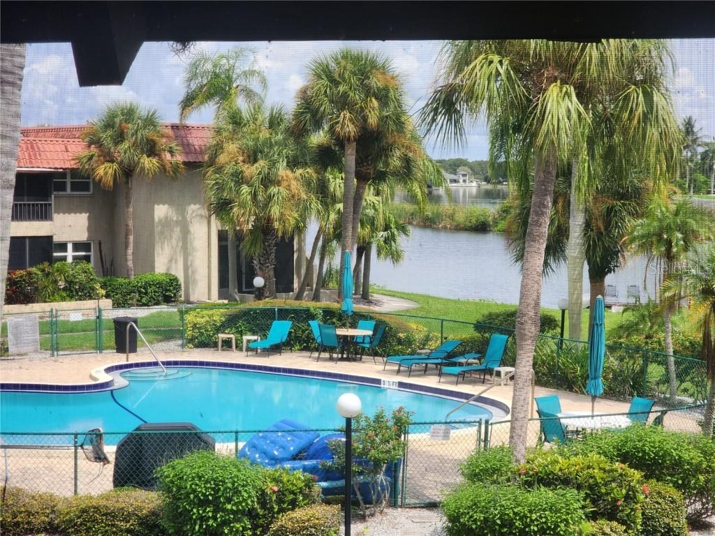 1003 S Bayshore Blvd. #206, Safety Harbor, FL 34695