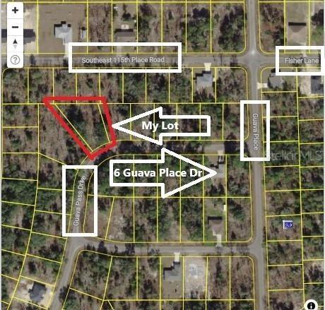 0024 Guava Pass Dr., Ocklawaha, FL 32179