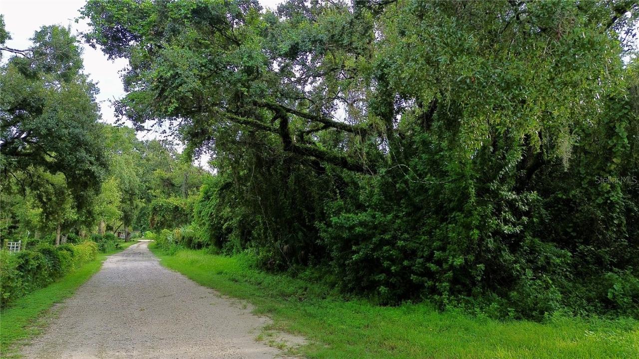 [Address Unavailable], New Port Richey, FL 34654