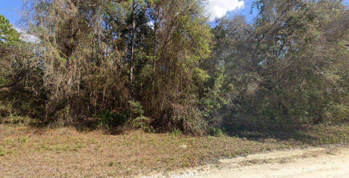 13414 Canyon Swallow Rd., Weeki Wachee, FL 34614