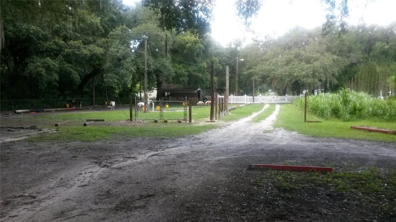 11329 Brightridge Dr., Seffner, FL 33584