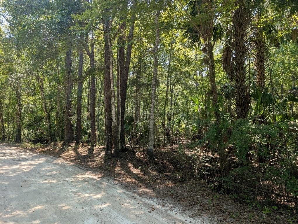 6252 E River Rd., Hernando, FL 34442