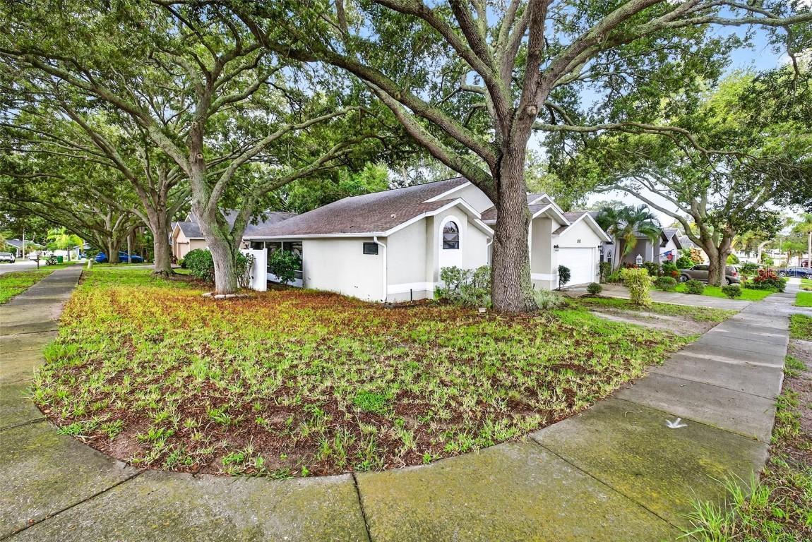 890 Kriswell Ct., Palm Harbor, FL 34683