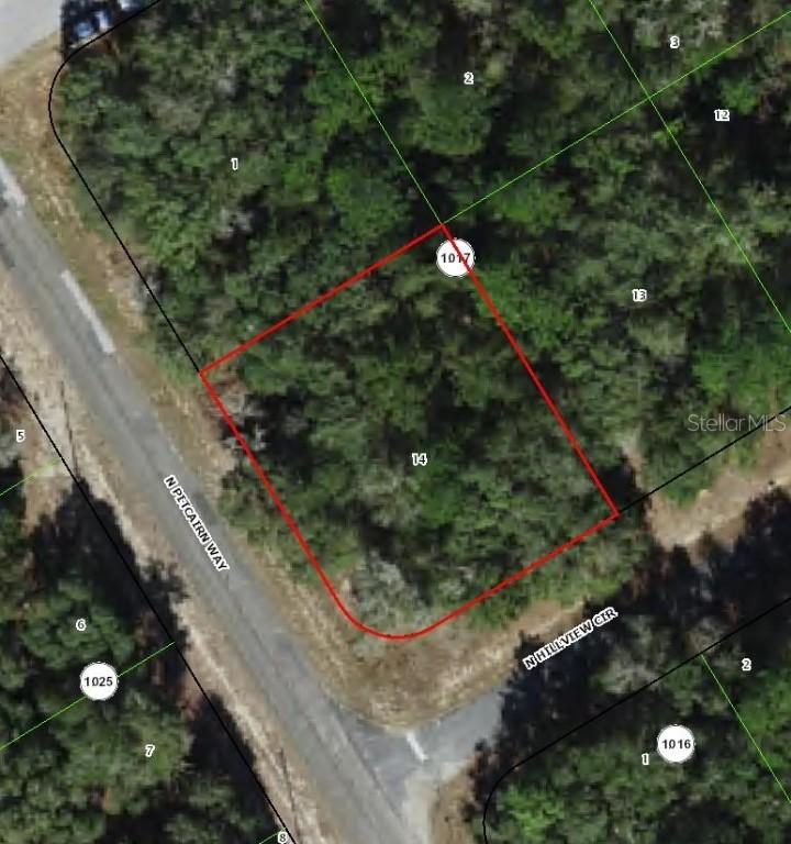 7912 N Hillview Cir., Citrus Springs, FL 34434