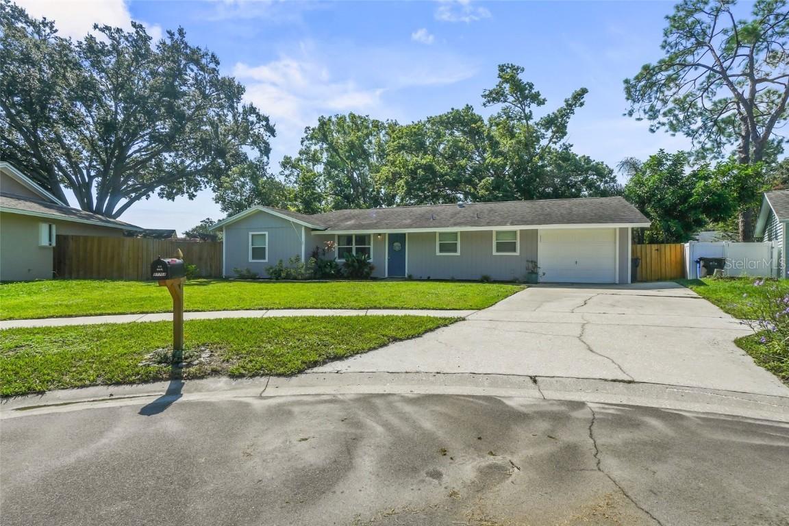 17703 Morninghigh Dr., Lutz, FL 33549