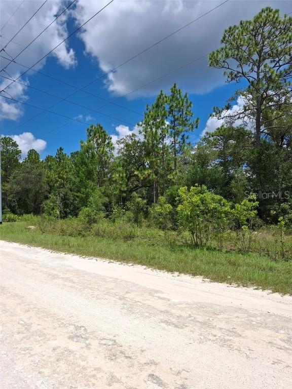 14020 Cedarwood Ave., Weeki Wachee, FL 34614