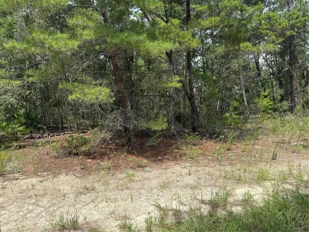 20 Aylssum, Homosassa, FL 34446