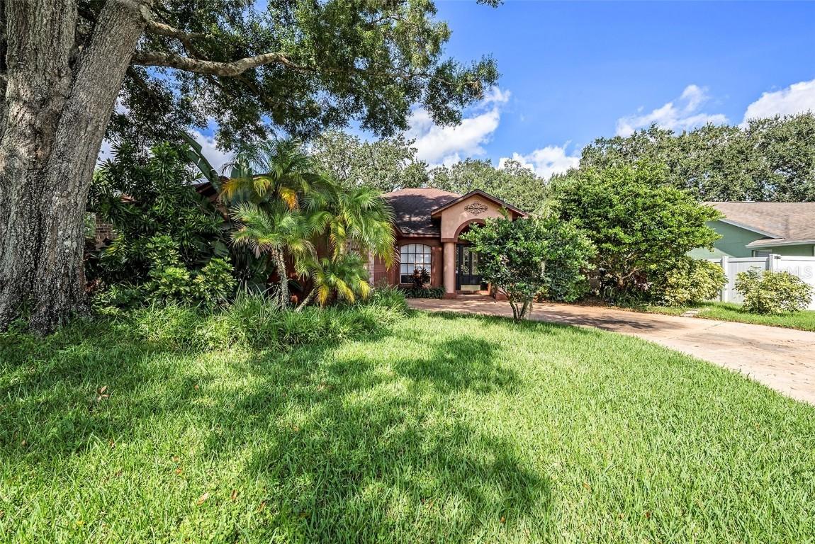 16502 Cayman Dr., Tampa, FL 33624