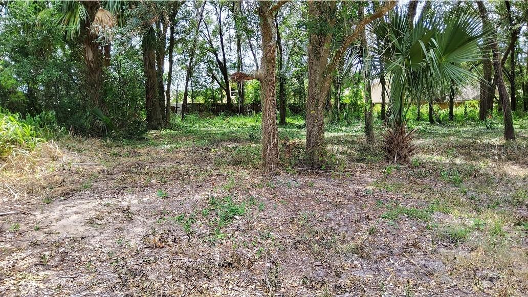 25050 Algonquin Ave., Mount Plymouth, FL 32776