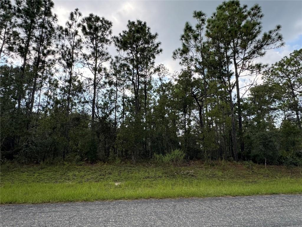 780 W Hummingbird Dr., Citrus Springs, FL 34434