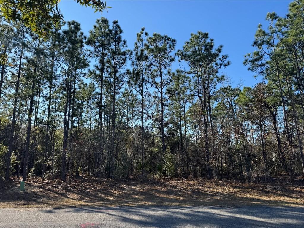 780 W Hummingbird Dr., Citrus Springs, FL 34434