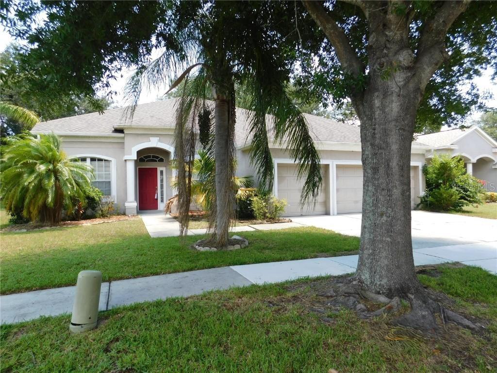12902 Cattail Shore Ln., Riverview, FL 33579