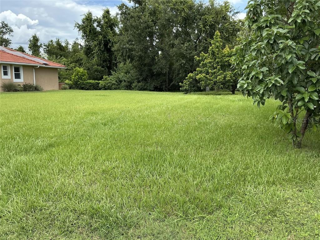 21049 Los Cabos Ct., Land O Lakes, FL 34637