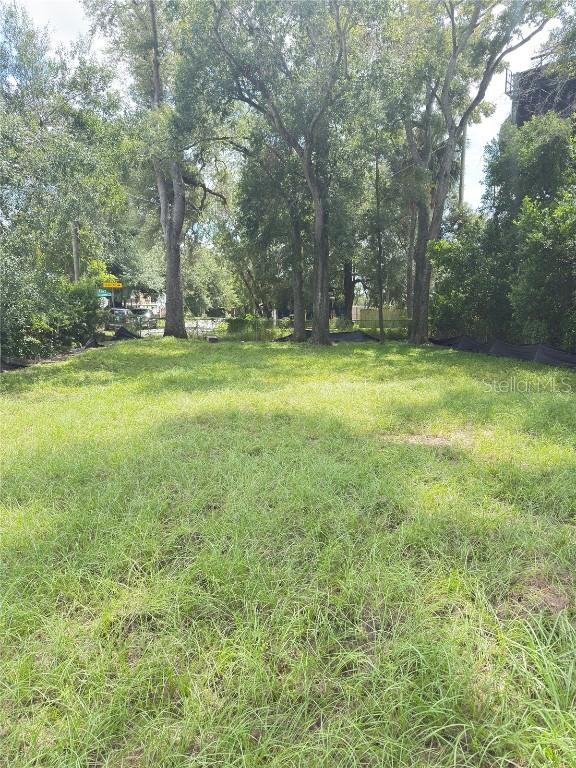 804 E Knollwood St., Tampa, FL 33604