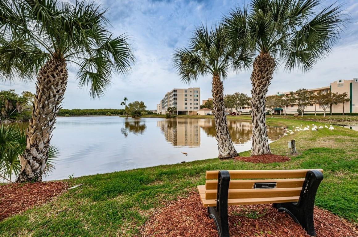 6363 99th Way #12I, St Petersburg, FL 33708