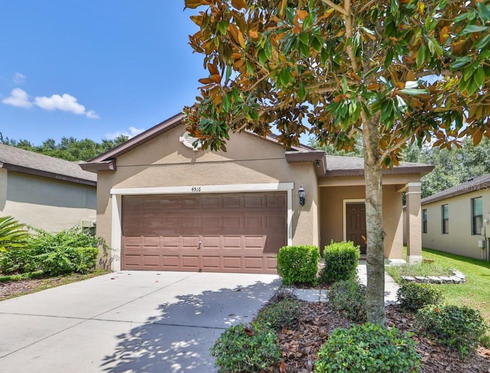 4516 Paper Mulberry Pl., Riverview, FL 33578