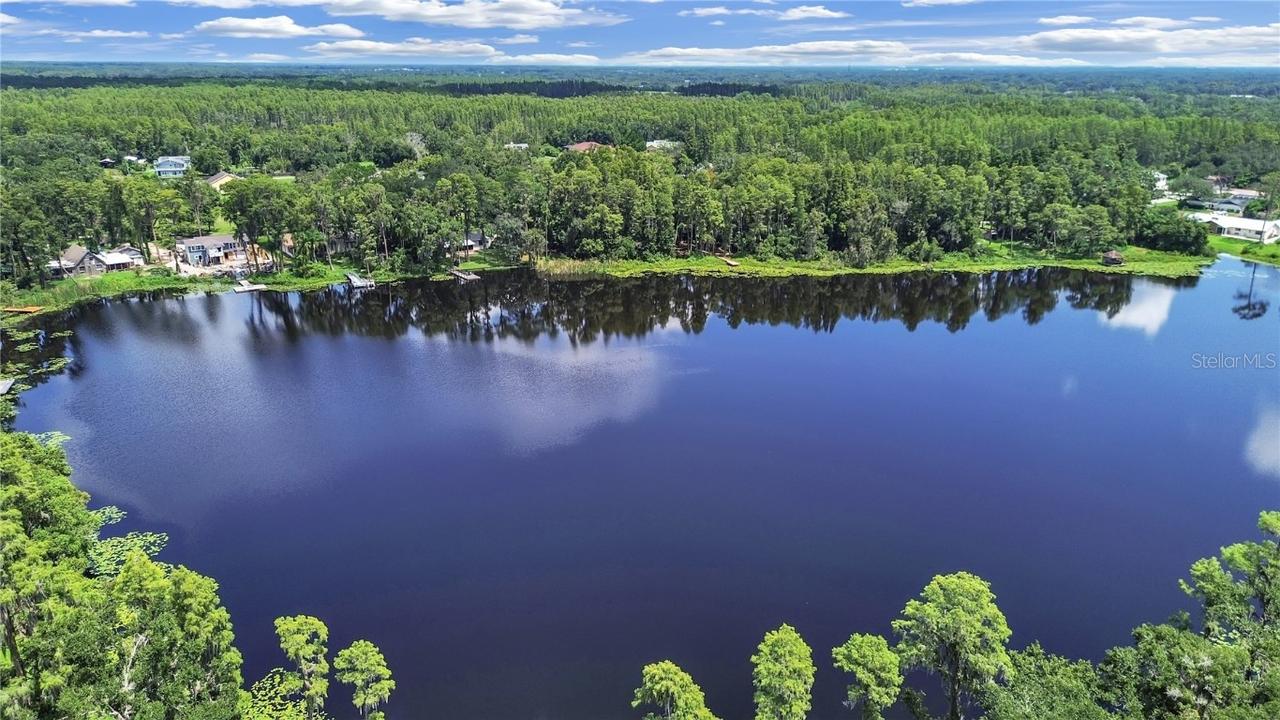 407 2nd Ave., Lutz, FL 33549