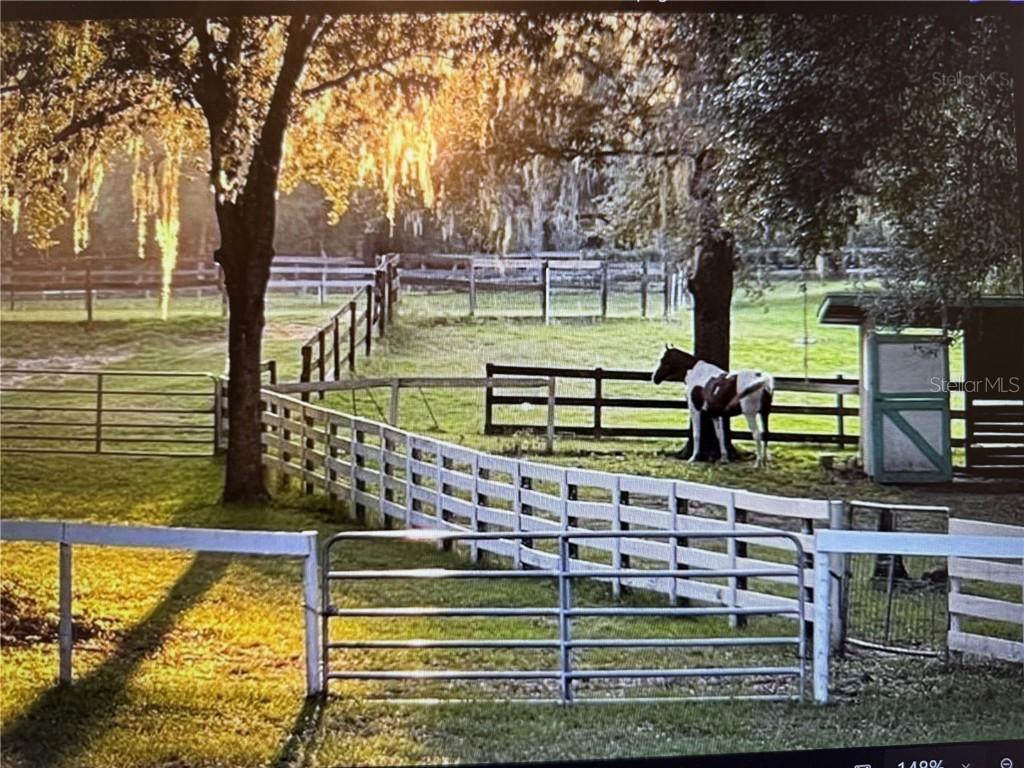 XXX Trilby Tr., Dade City, FL 33523