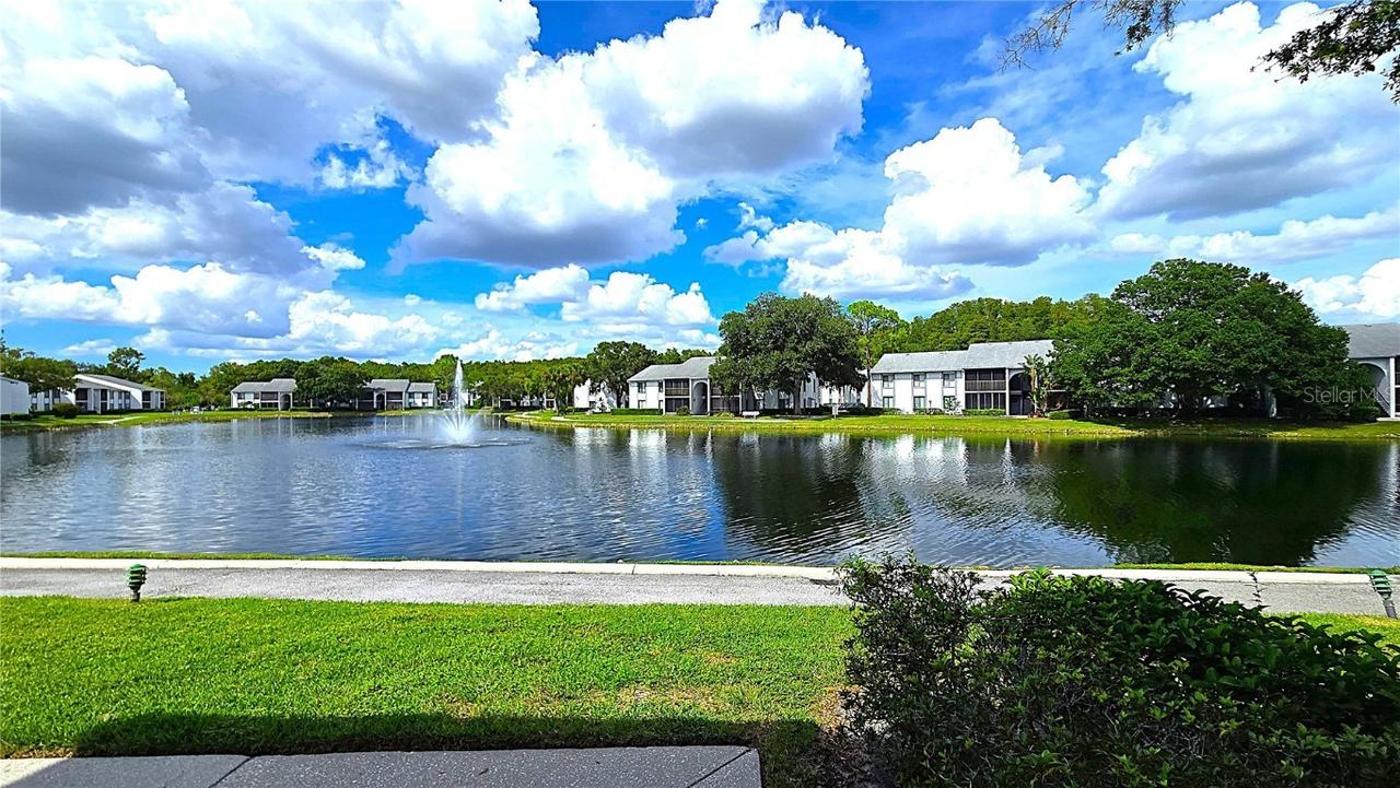 1109 Pine Ridge Cir. #C1, Tarpon Springs, FL 34688