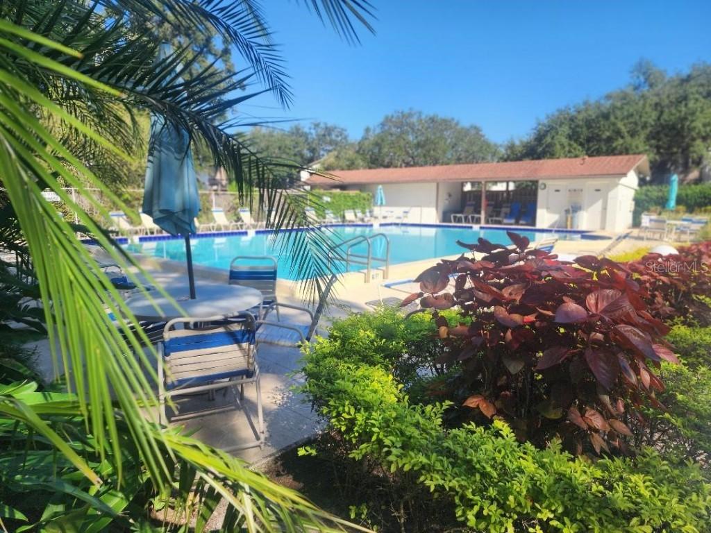 603 Baldwin Ave. #B, Safety Harbor, FL 34695