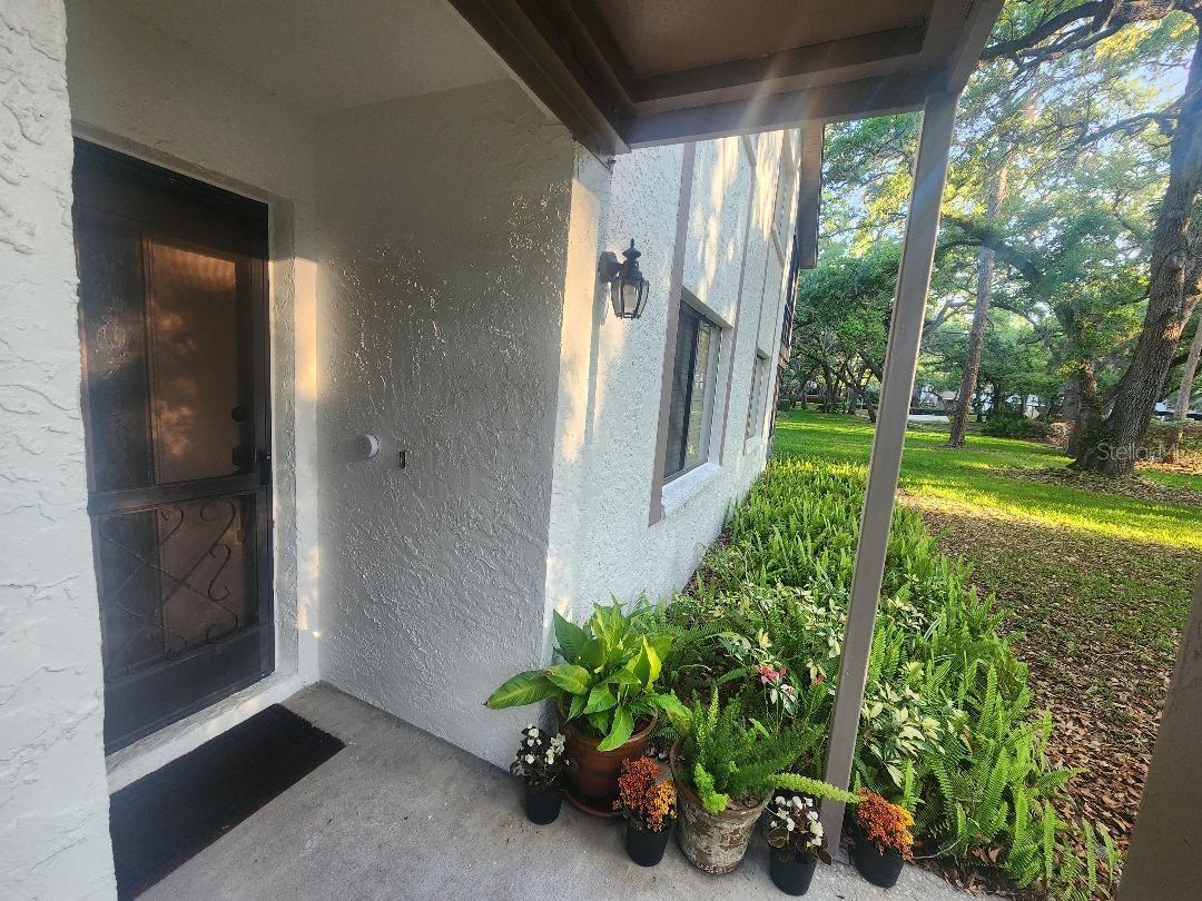 603 Baldwin Ave. #B, Safety Harbor, FL 34695