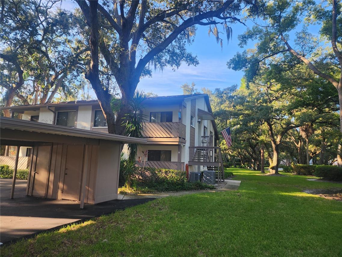 603 Baldwin Ave. #B, Safety Harbor, FL 34695