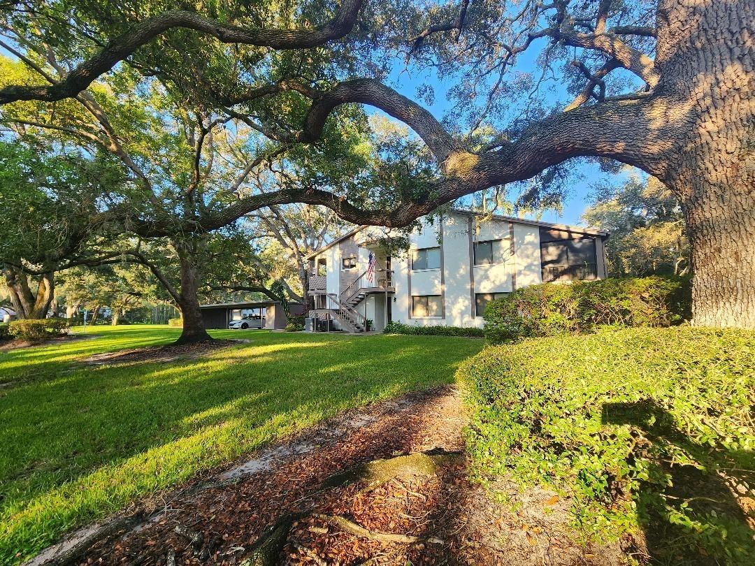 603 Baldwin Ave. #B, Safety Harbor, FL 34695