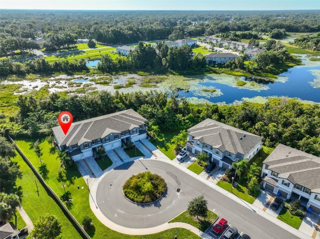 23398 Papyrus Way, Lutz, FL 33549