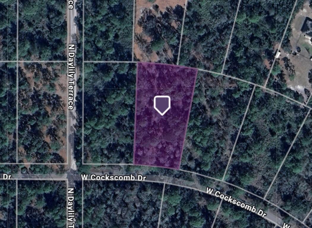 11543 W Cockscomb Dr., Crystal River, FL 34428