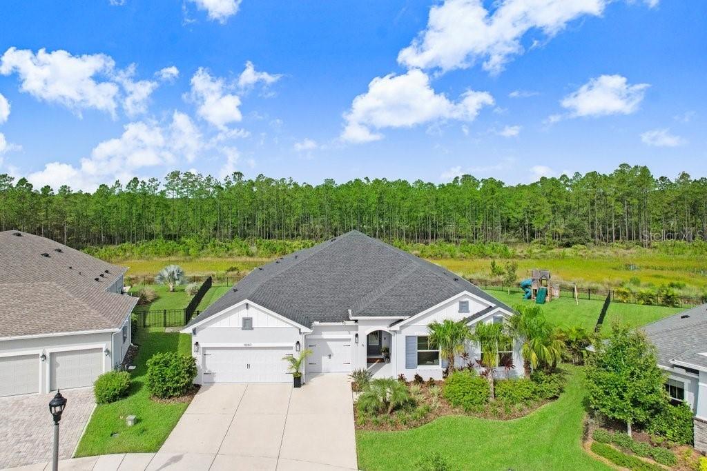 16160 November Rain Ct., Land O Lakes, FL 34638