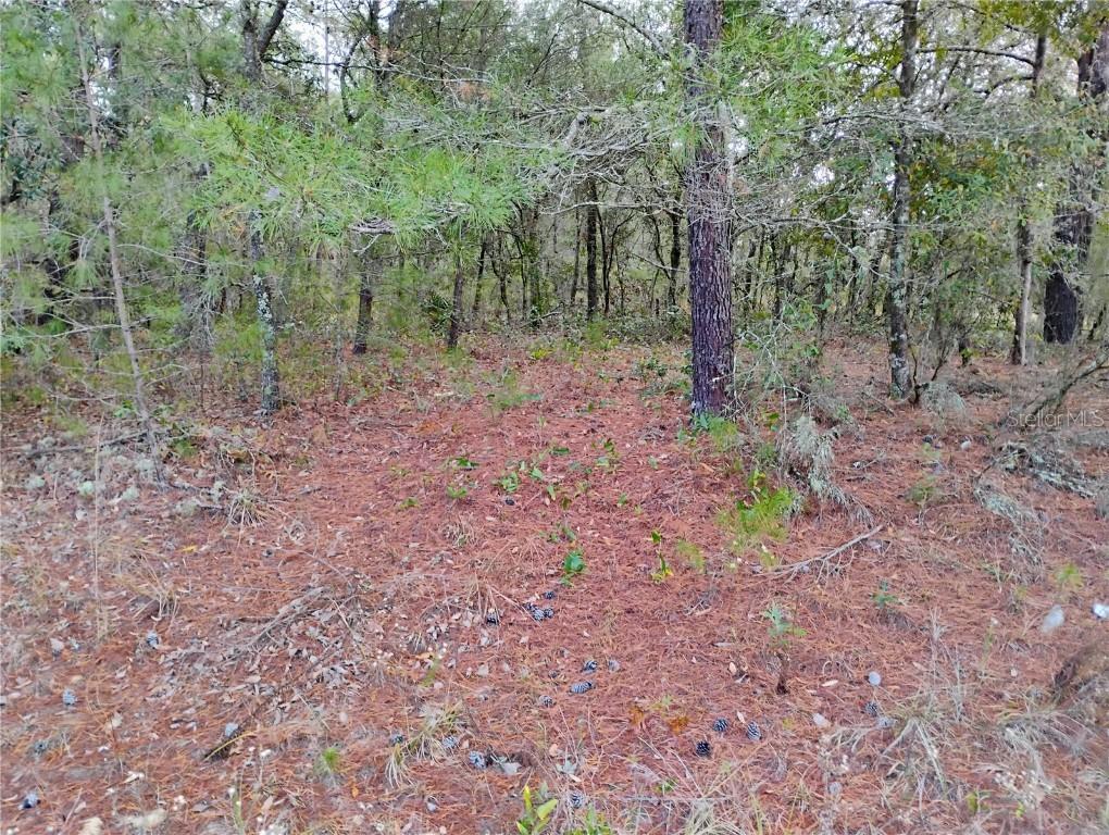 302 Kennedy Ave., Interlachen, FL 32148